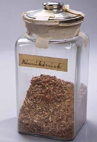 Kinnikinnick is made from the outer bark of dogwood or willow and is mixed with or used in place of tobacco. This object is Ojibwe in origin. Not later than 1959. Courtesy of Minnesota Historical Society. 